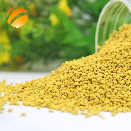 Beehall Bee Products Lieferant schützt die Prostata mit rohem Rapsbienenpollen