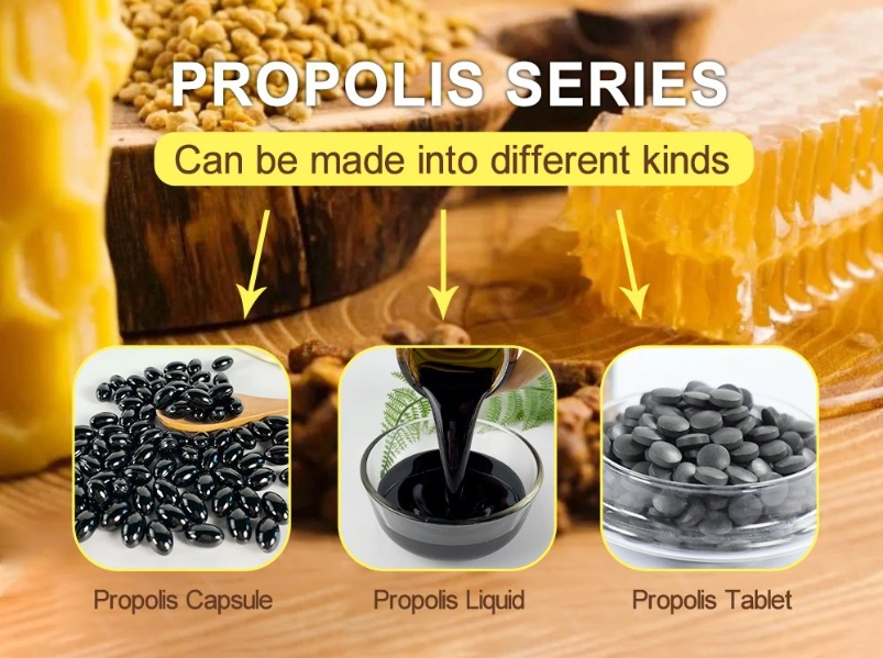 Bee Products Supplier Nop EOS Certificates Wholesale Propolis