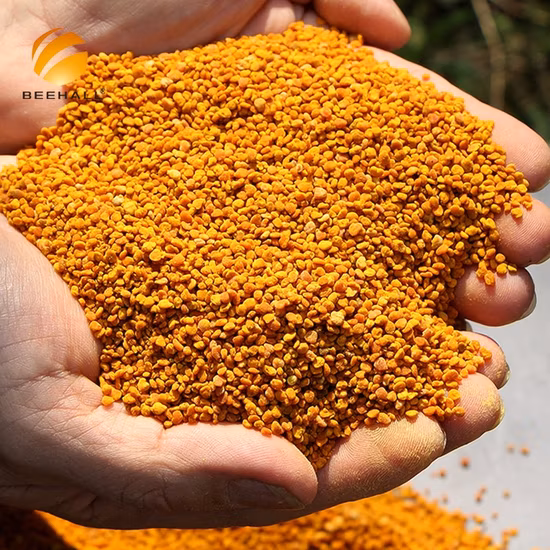 Beehall Organic Food Factory Heißer Verkauf konkurrenzfähiger Preis Tee-Bienenpollen
